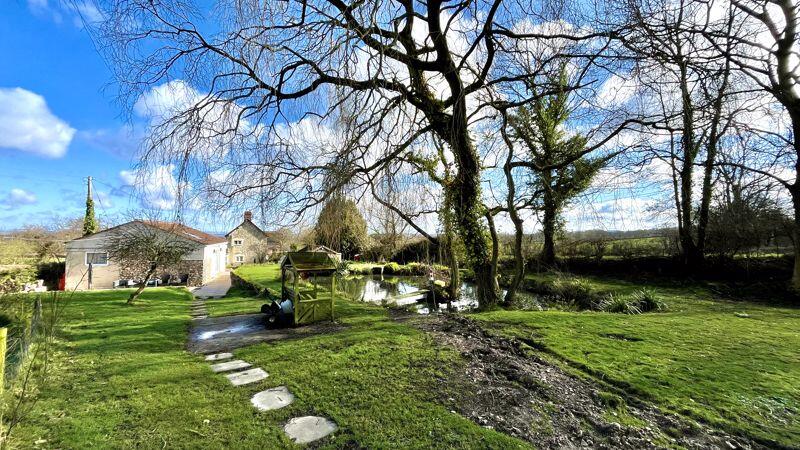 Garden Area