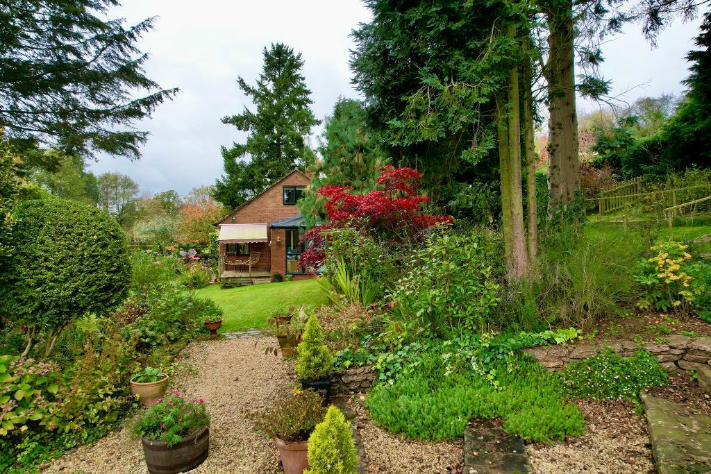 Captivating garden with mature trees