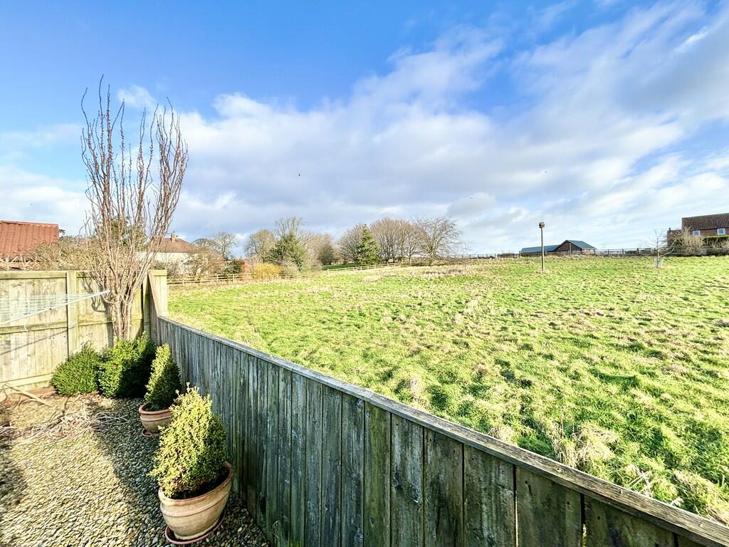 View from garden