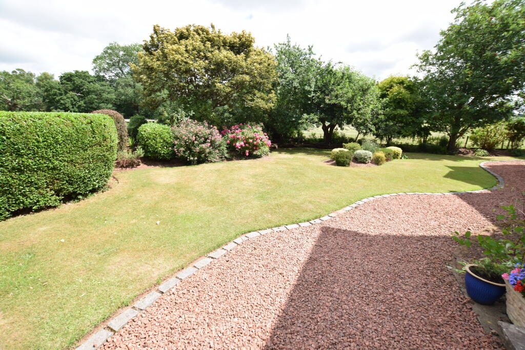 front garden