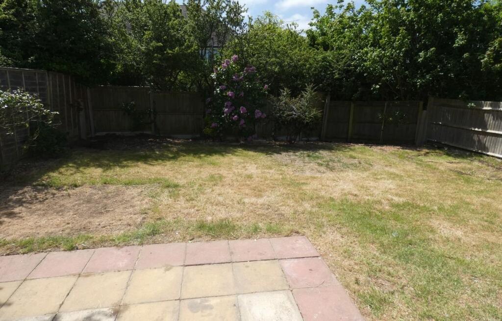 Picture 17