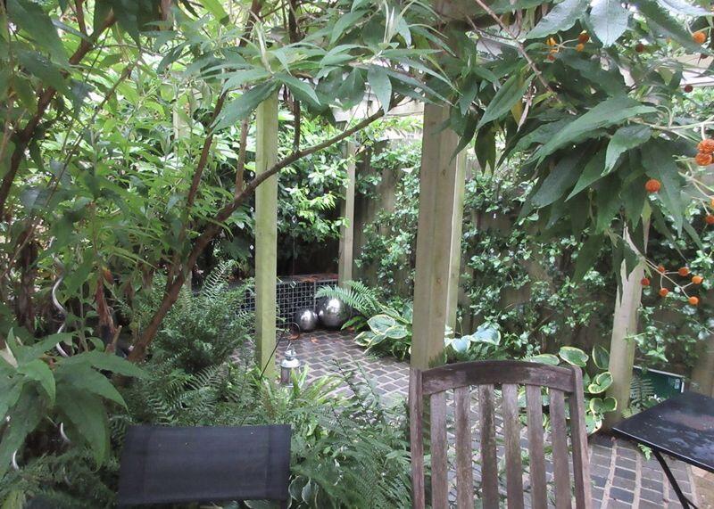 Garden (Summer photo)