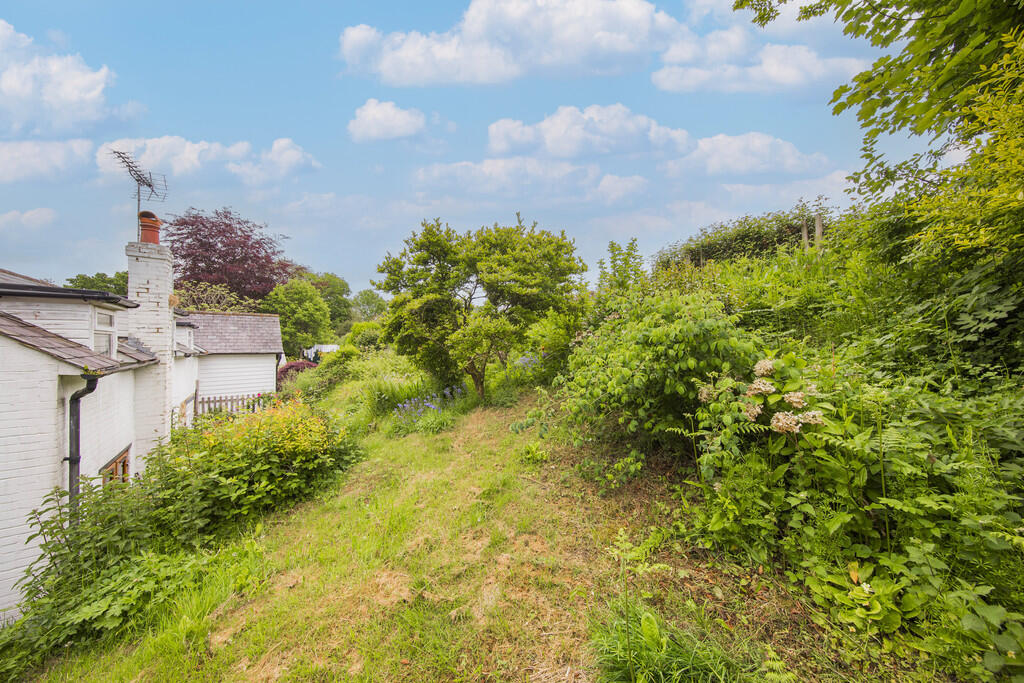 Garden 1