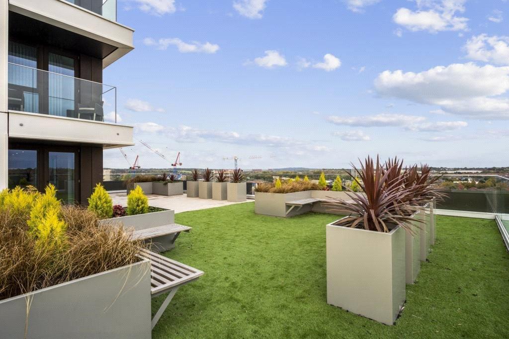 Rooftopgarden