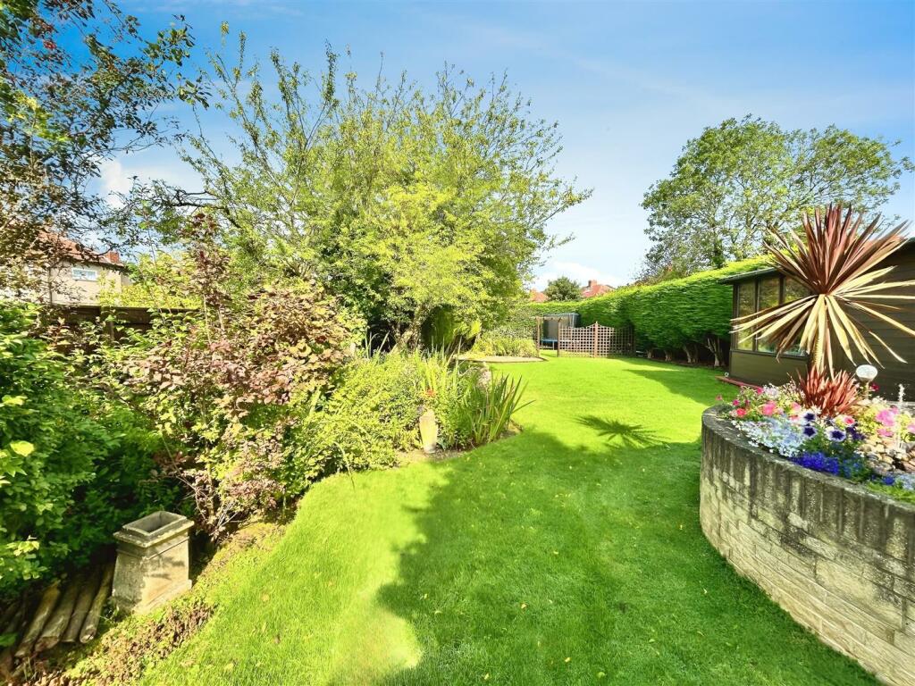 editedimage-94c122cd-a97e-4f9e-b73b-29ebbf62d71b 2