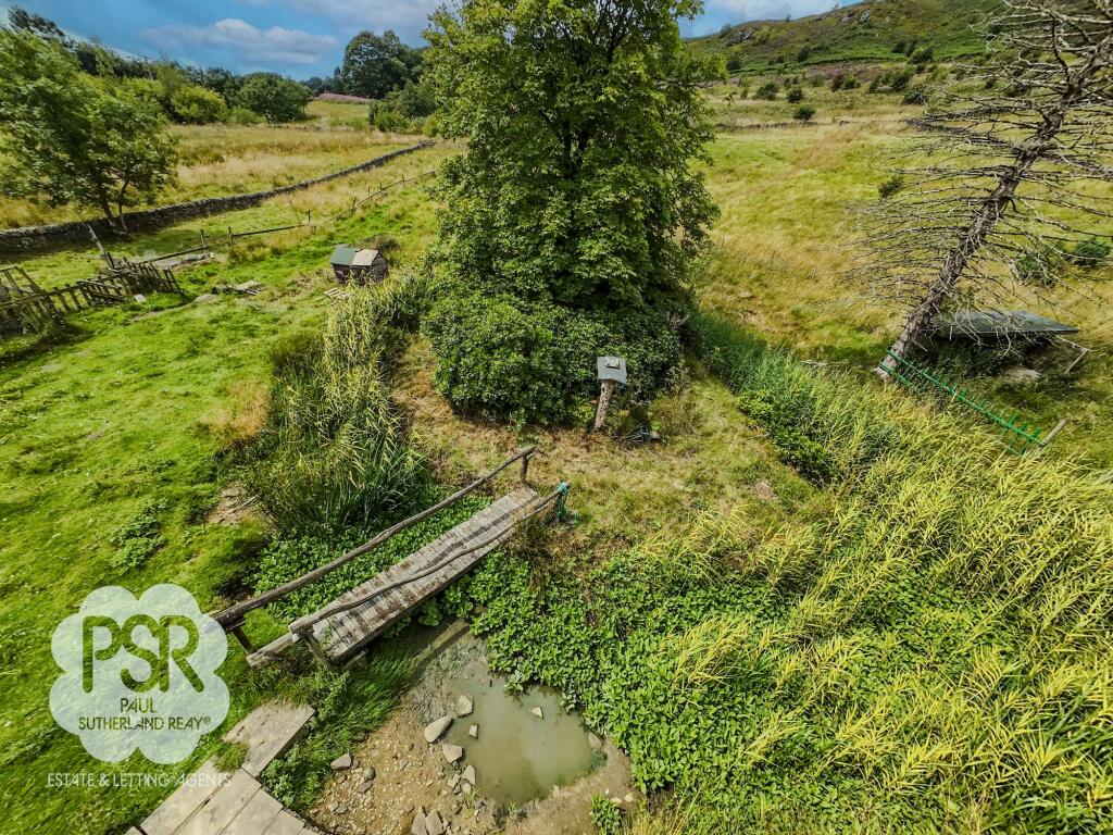 Upper Field Area with Pond