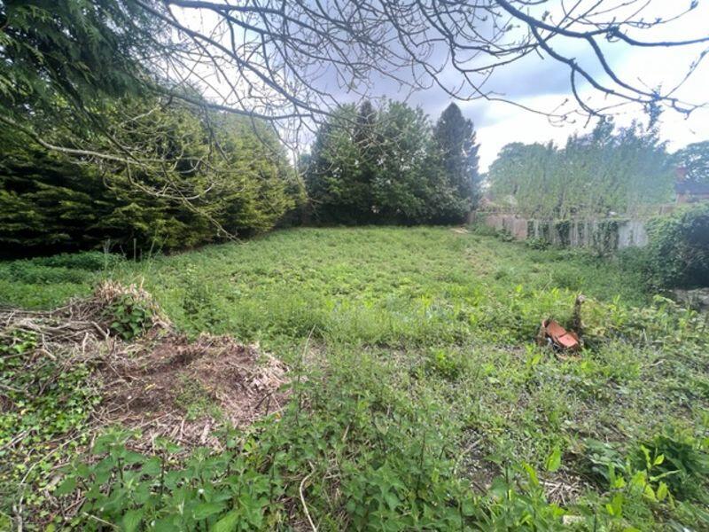 Elevated view on lower plot
