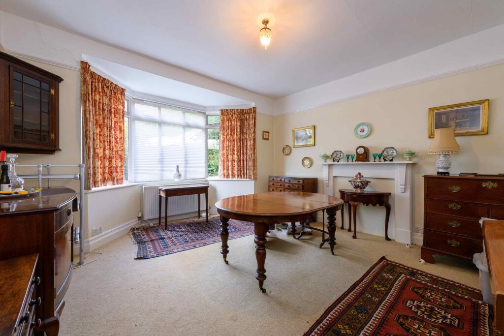 TEK HiRes 240827 052.jpeg