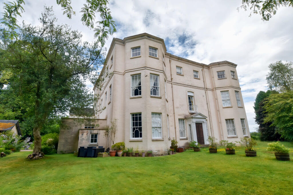 Front Aspect