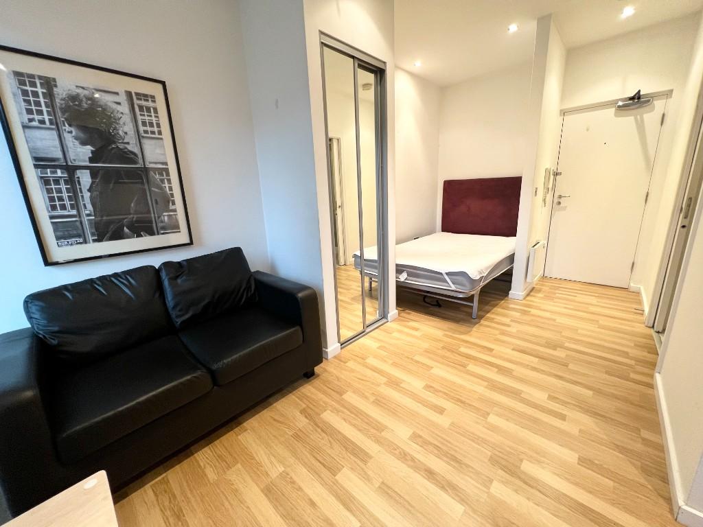 LIVING AREA /BEDROO