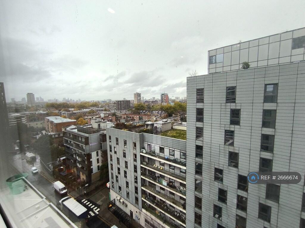 Window Views