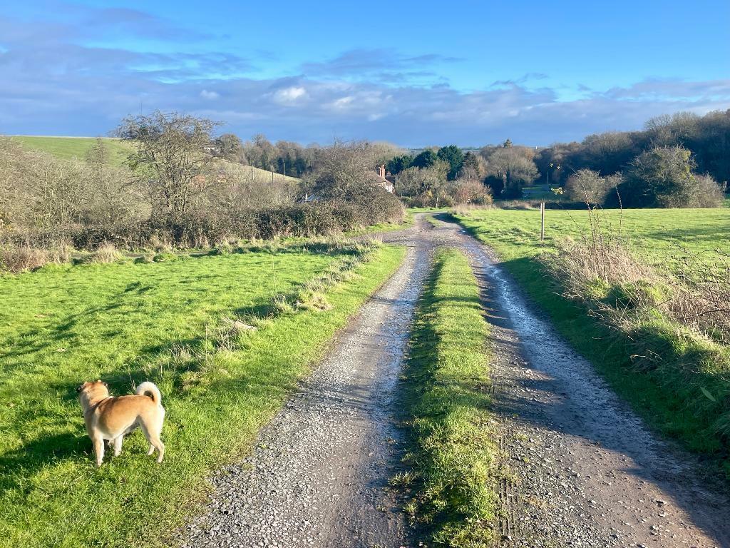Lane leading to the property