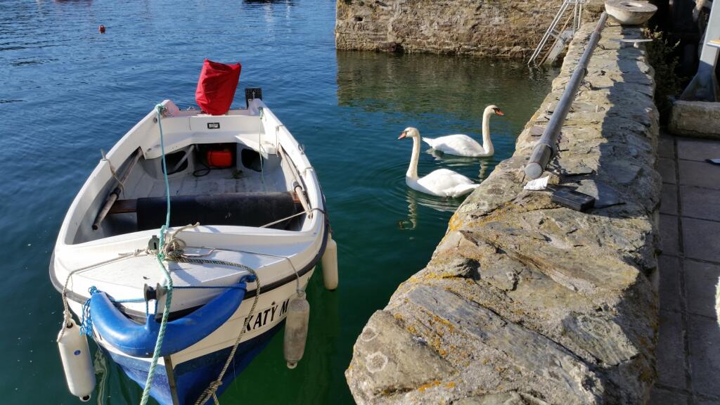 Katy at 32 Fore Street