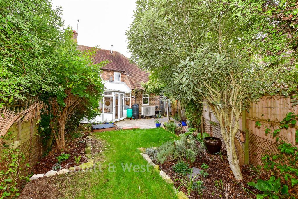 Rear Garden (Original)