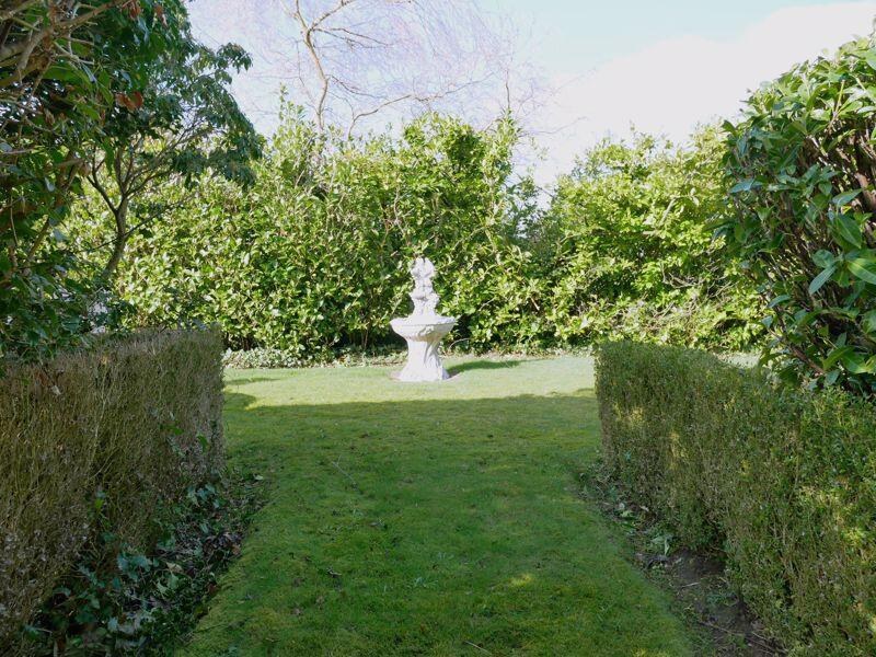 Photo 31