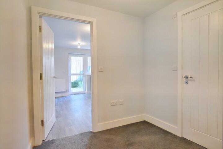 8  Small  T202501211634.jpg