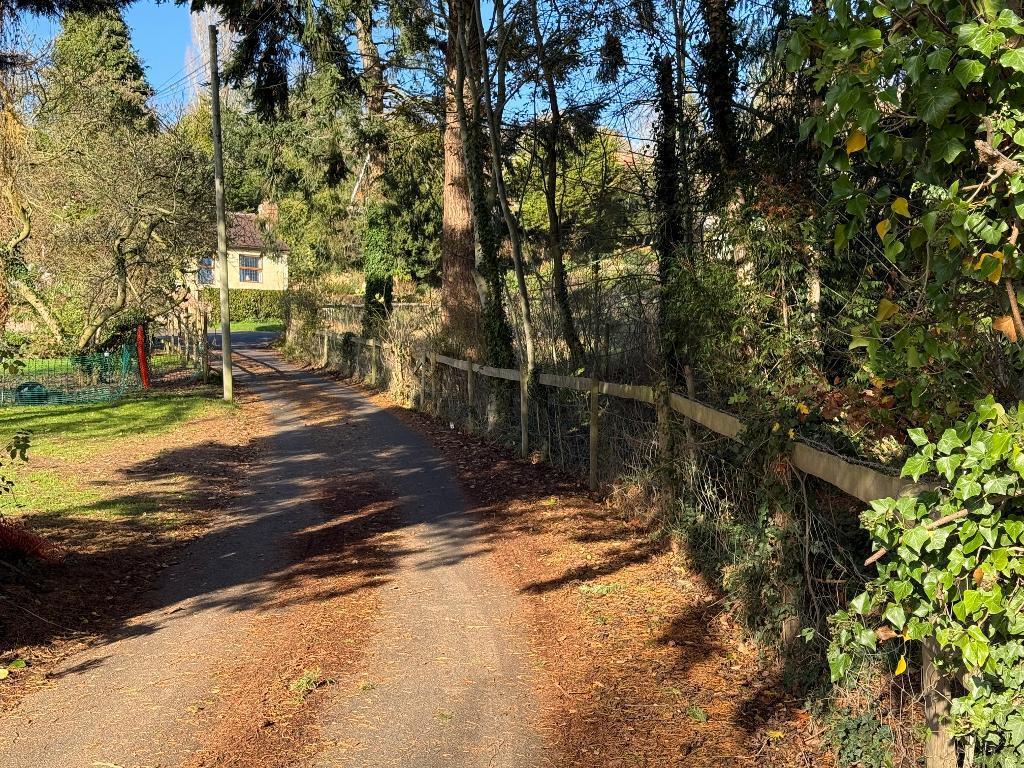 Lane to Vine Cottage