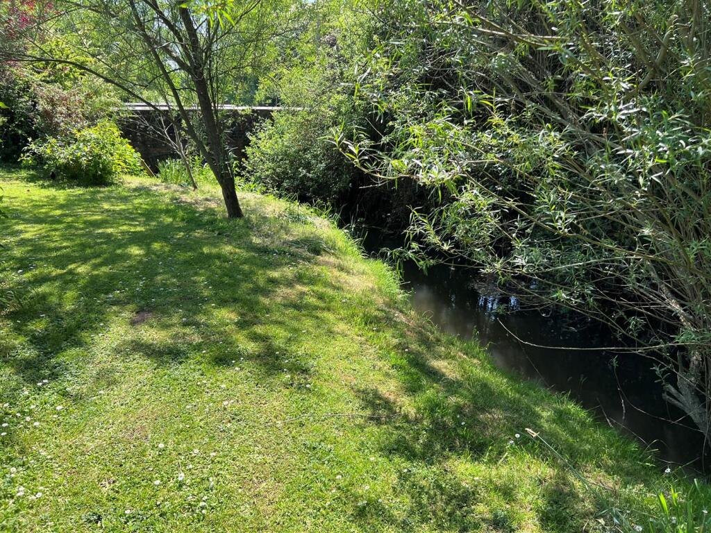 River 2.jpg