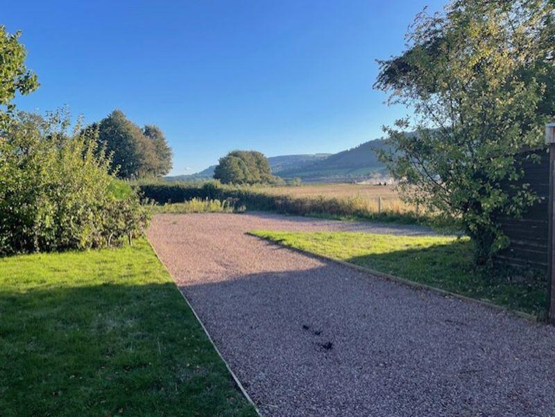 Drive and garden 
