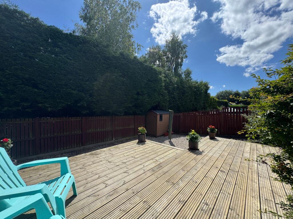 Back Garden