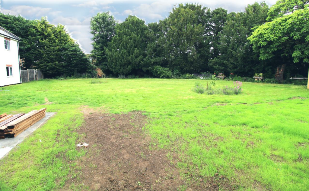 rear garden.png