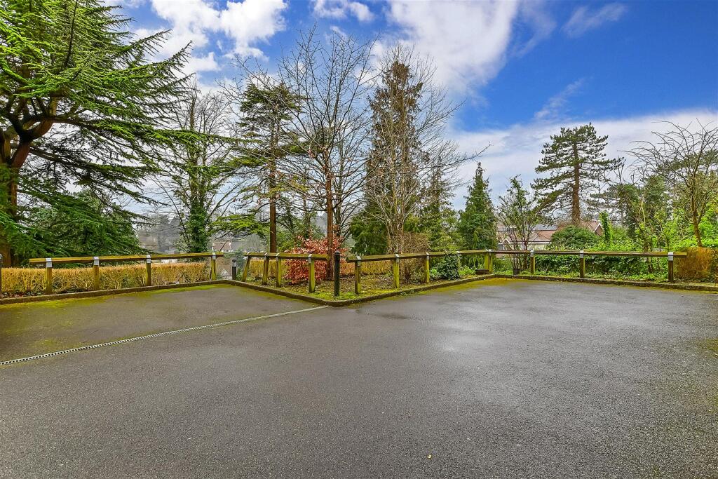 Driveway/Parking