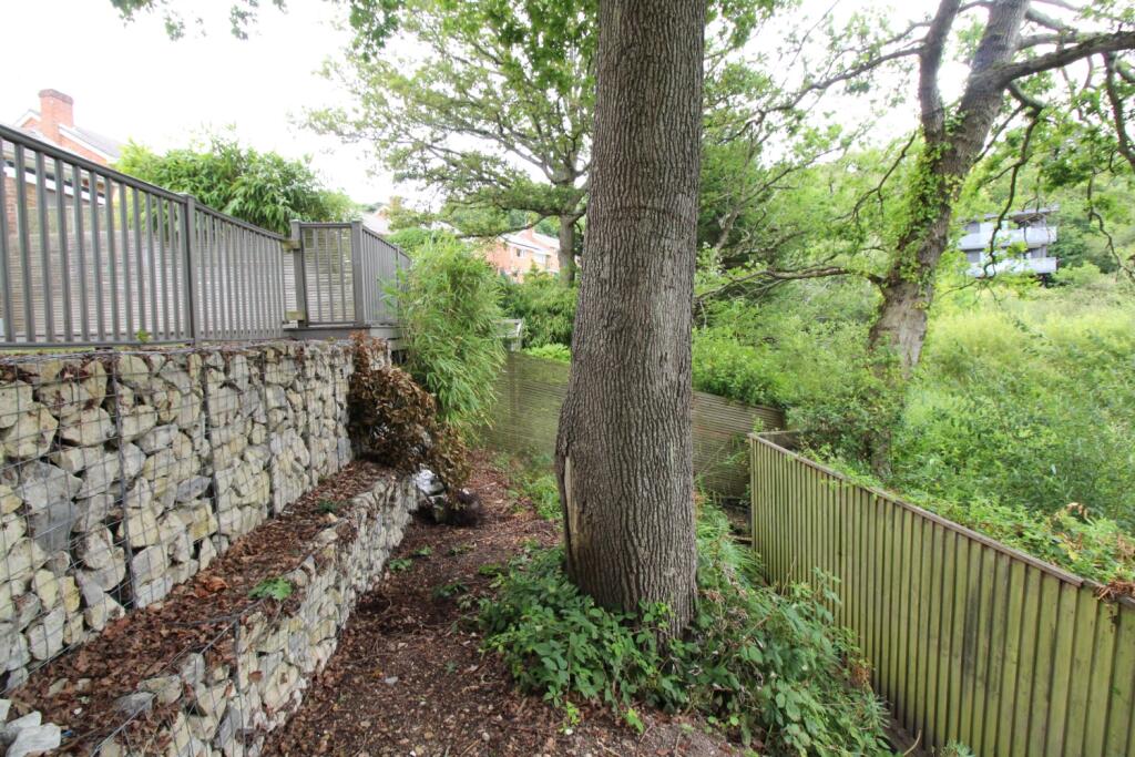Area Behind Garden