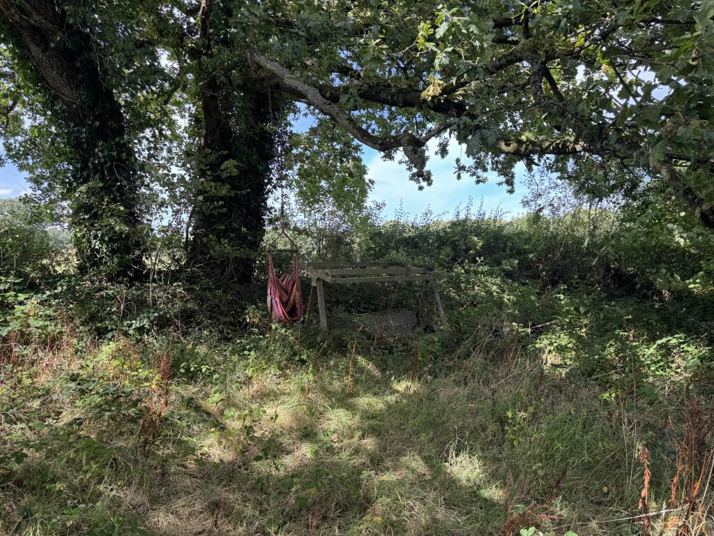 IMG 1873 T202509101641.jpeg