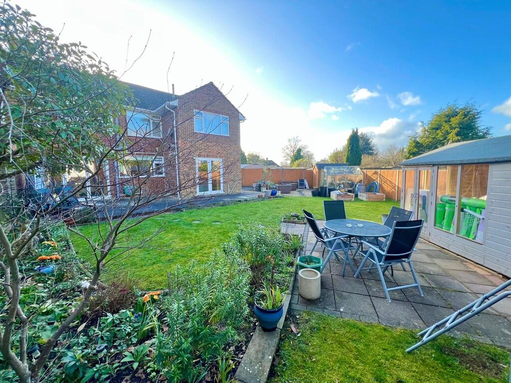 WhatsApp Image 20...