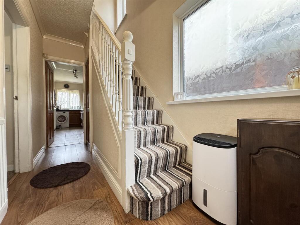 IMG_9095 (Large).JPG