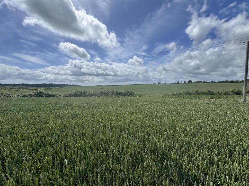 Land at Hinton Martell