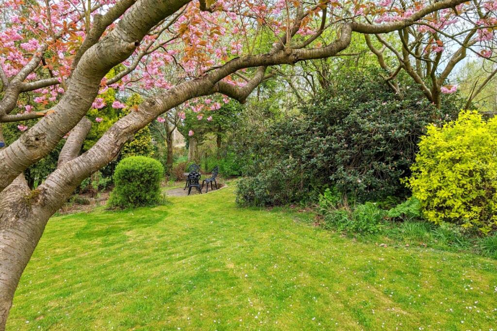 PXL_20240424_141157088 (Large)