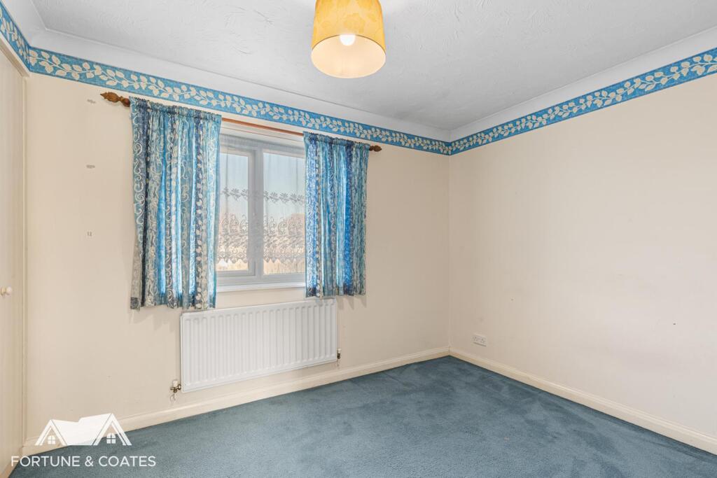SheldonClose_8.jpg