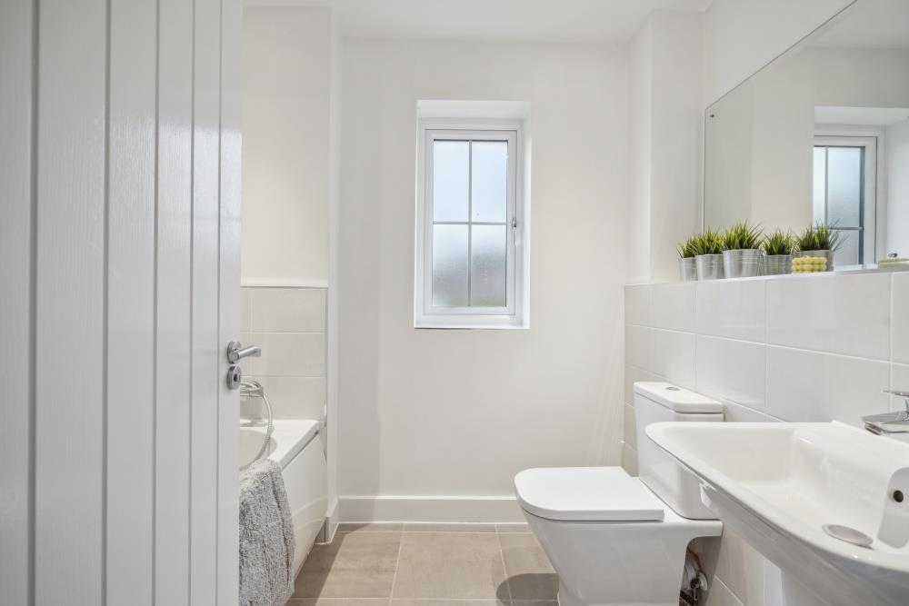 DSC01850 - 800px.jpg