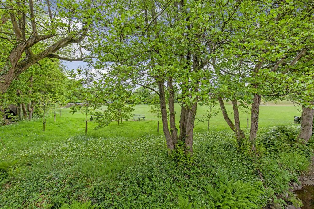 Rear External-12.jpg