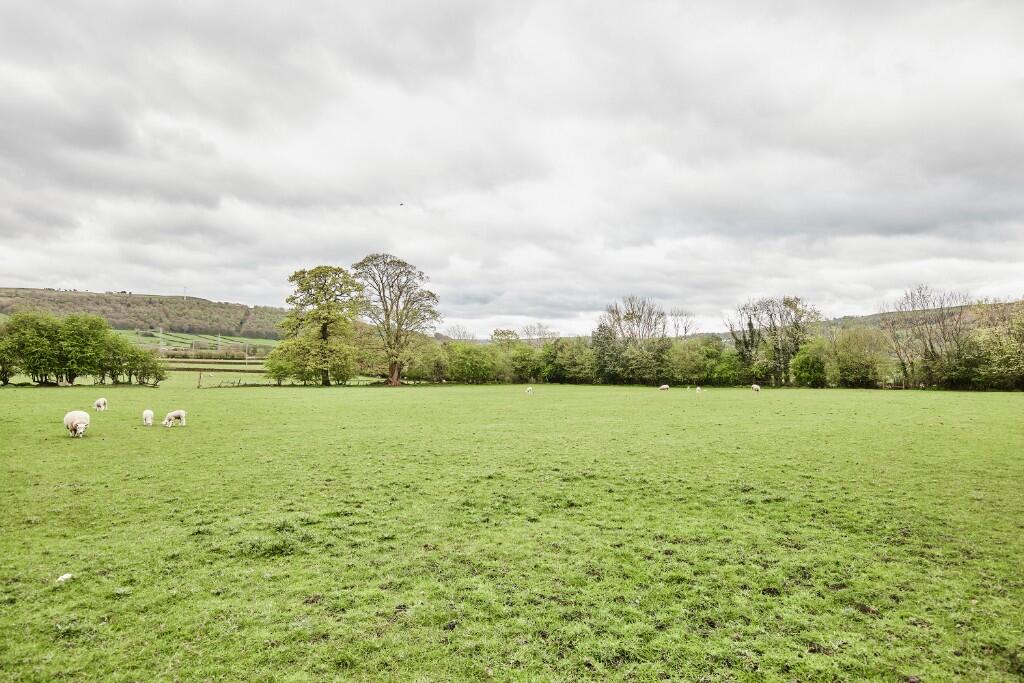 Surrounding Farmland