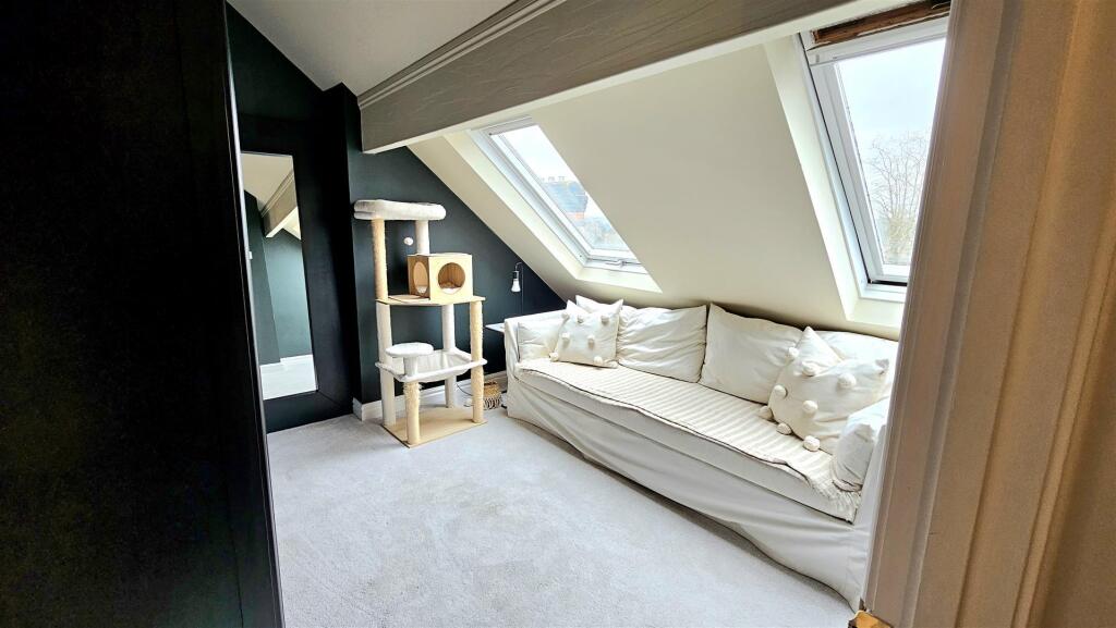 20250214_112427 (Large).jpg