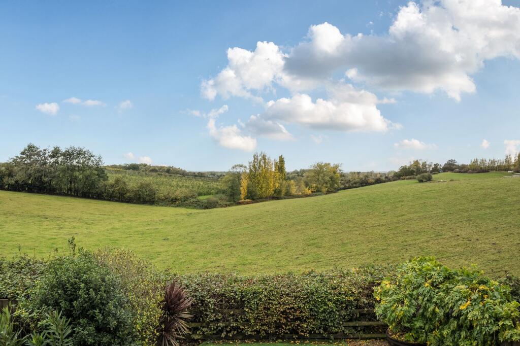 View from Balcony (1)