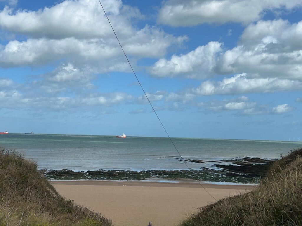 Picture 10