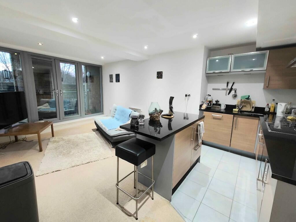 Living Room/Kitchen