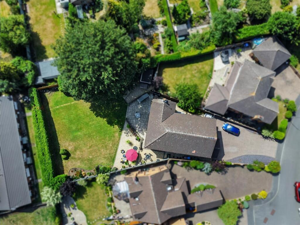 Drone Shot of the Whole Plot