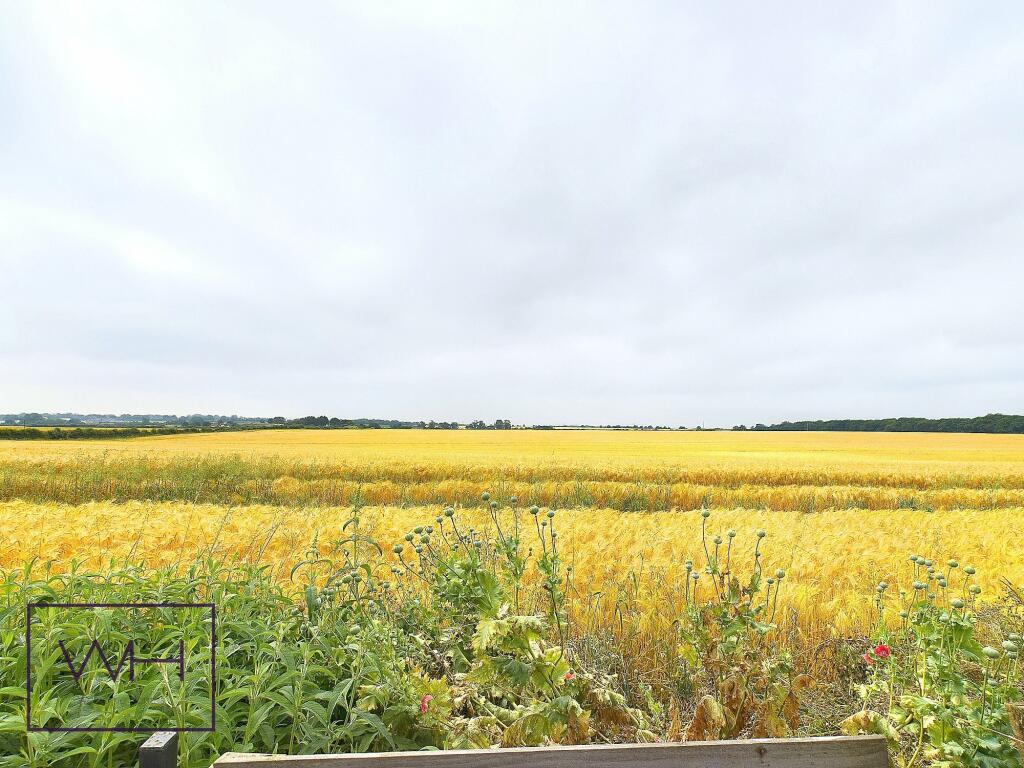 CAM03785G0-PR0076-ST