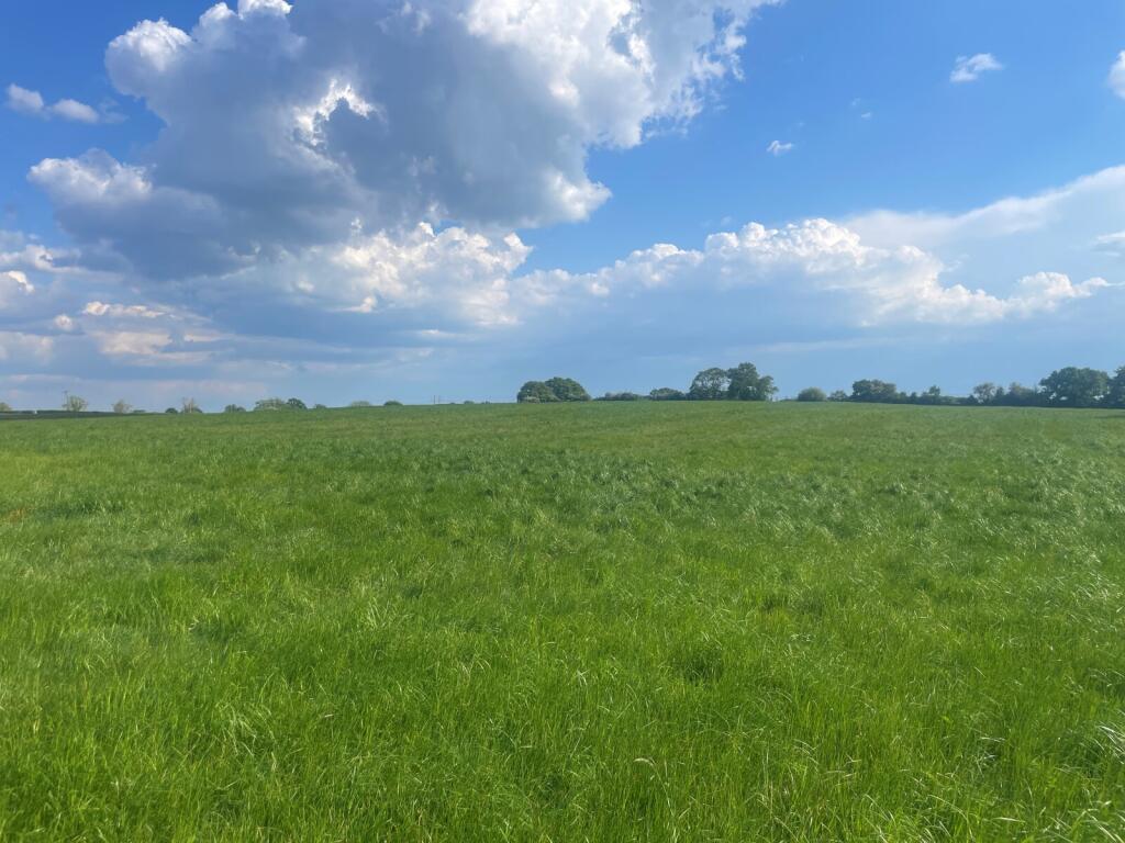 Lot 5