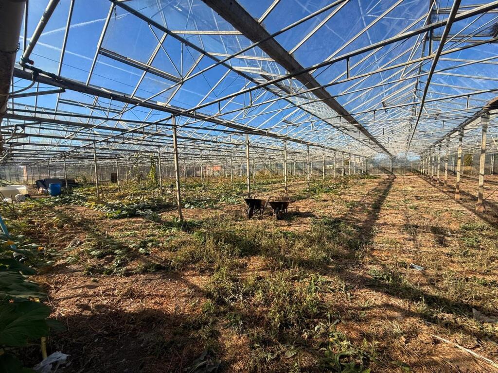 PHOTO-2025-09-24-11-48-48 4.jpg