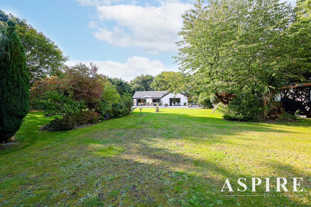 171A0903-Edit.jpg