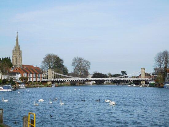 Higginson park