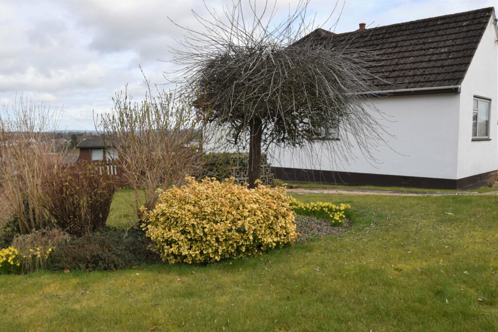 Tiverton, Seddons