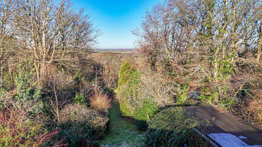 DJI_20251231123437_0126_D.jpg