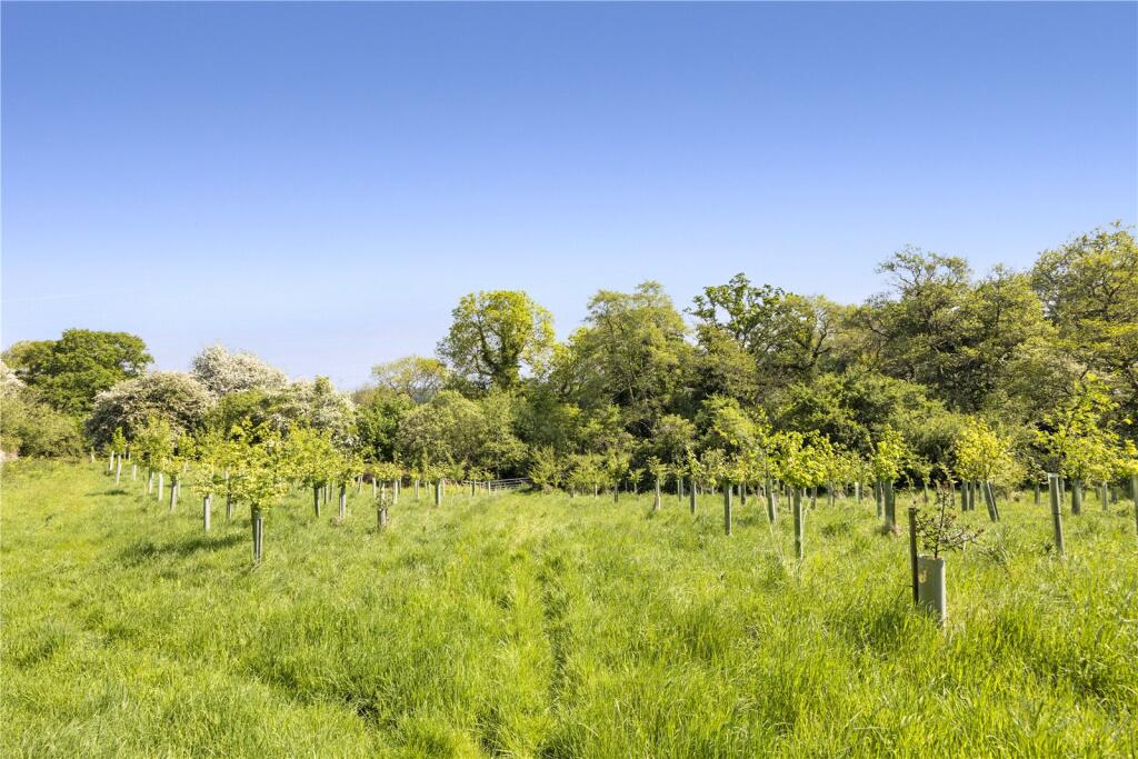 Plantation