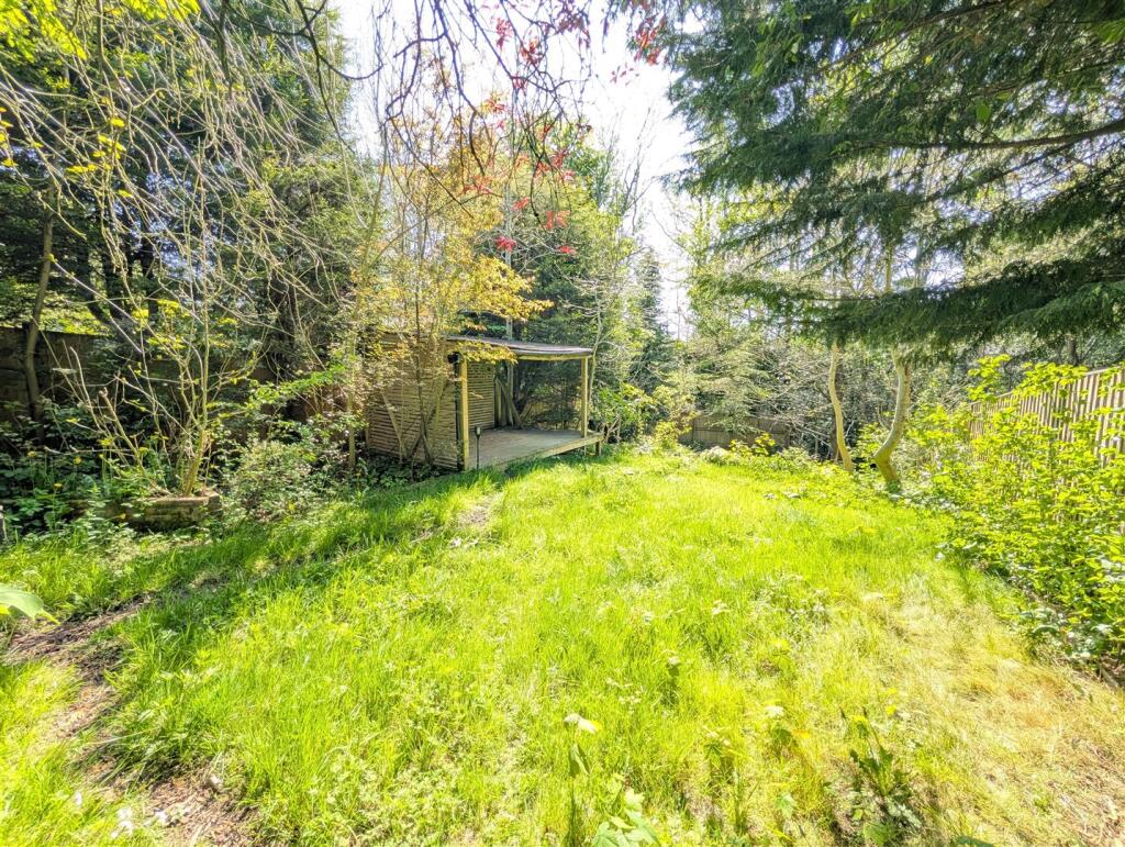 Back Garden 8.jpg